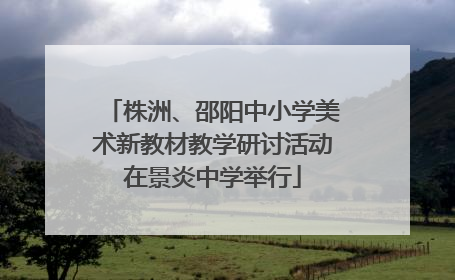 株洲、邵阳中小学美术新教材教学研讨活动在景炎中学举行