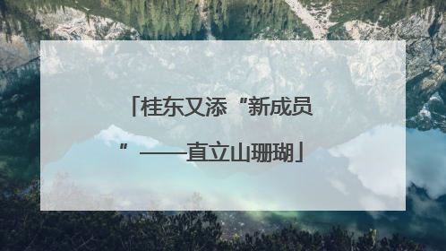 桂东又添“新成员”——直立山珊瑚