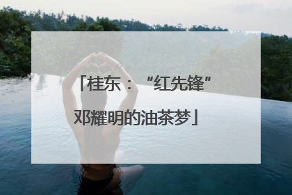 桂东：“红先锋”邓耀明的油茶梦