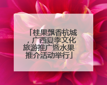 桂果飘香杭城，广西夏季文化旅游推广暨水果推介活动举行