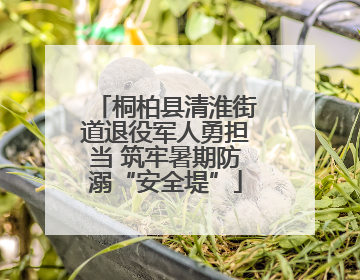 桐柏县清淮街道退役军人勇担当 筑牢暑期防溺“安全堤”