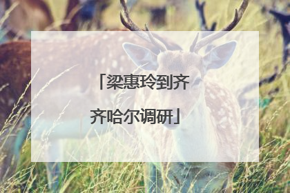 梁惠玲到齐齐哈尔调研