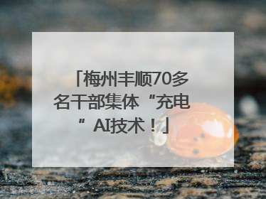 梅州丰顺70多名干部集体“充电”AI技术！