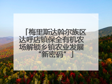 梅里斯达斡尔族区达呼店镇保全有机农场解锁乡镇农业发展“新密码”