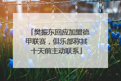 樊振东回应加盟德甲联赛，俱乐部称其十天前主动联系