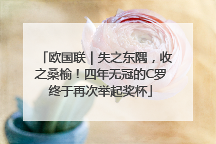 欧国联｜失之东隅，收之桑榆！四年无冠的C罗终于再次举起奖杯