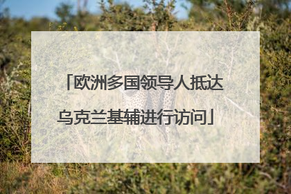 欧洲多国领导人抵达乌克兰基辅进行访问