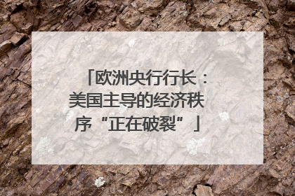 欧洲央行行长：美国主导的经济秩序“正在破裂”