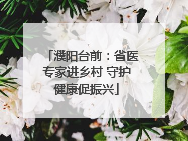 濮阳台前：省医专家进乡村 守护健康促振兴