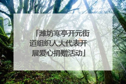 潍坊寒亭开元街道组织人大代表开展爱心捐赠活动