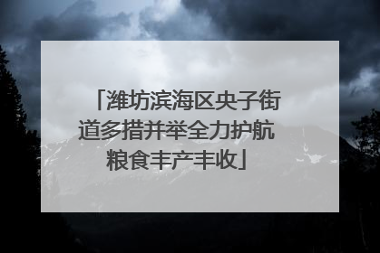 潍坊滨海区央子街道多措并举全力护航粮食丰产丰收