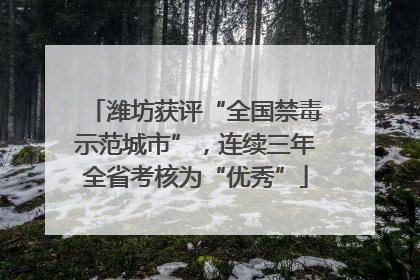 潍坊获评“全国禁毒示范城市”，连续三年全省考核为“优秀”