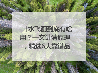 水飞蓟到底有啥用？一文讲清原理，精选6大靠谱品牌助你科学养生