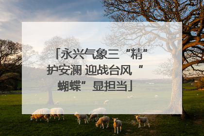 永兴气象三“精”护安澜 迎战台风“蝴蝶”显担当