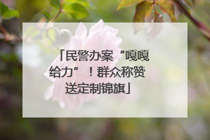 民警办案“嘎嘎给力”！群众称赞送定制锦旗