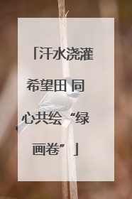 汗水浇灌希望田 同心共绘“绿画卷”