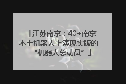 江苏南京：40+南京本土机器人上演现实版的“机器人总动员”