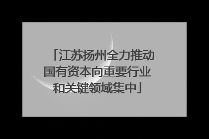 江苏扬州全力推动国有资本向重要行业和关键领域集中