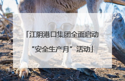 江阴港口集团全面启动“安全生产月”活动