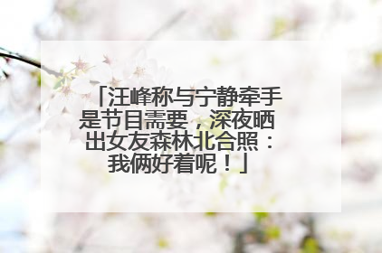 汪峰称与宁静牵手是节目需要，深夜晒出女友森林北合照：我俩好着呢！