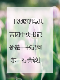 沈晓明与共青团中央书记处第一书记阿东一行会谈