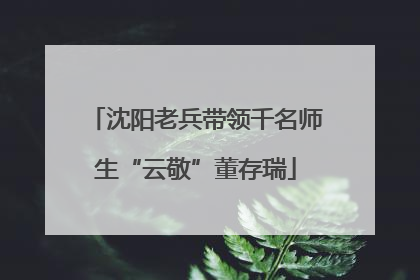 沈阳老兵带领千名师生“云敬”董存瑞