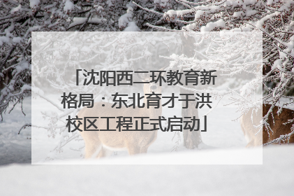 沈阳西二环教育新格局：东北育才于洪校区工程正式启动