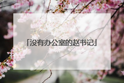 没有办公室的赵书记