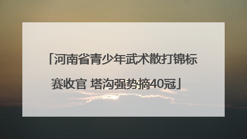 河南省青少年武术散打锦标赛收官 塔沟强势摘40冠