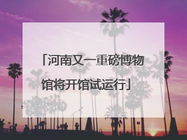 河南又一重磅博物馆将开馆试运行