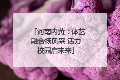 河南内黄：体艺融合扬风采 活力校园启未来