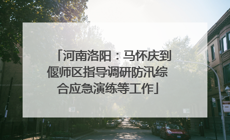 河南洛阳：马怀庆到偃师区指导调研防汛综合应急演练等工作
