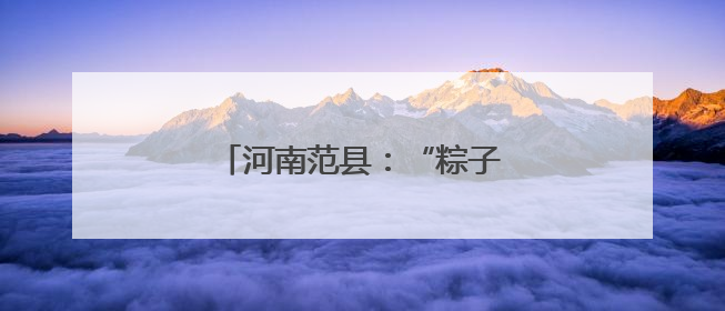 河南范县：“粽子村”香飘振兴路