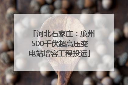 河北石家庄：廉州500千伏超高压变电站增容工程投运