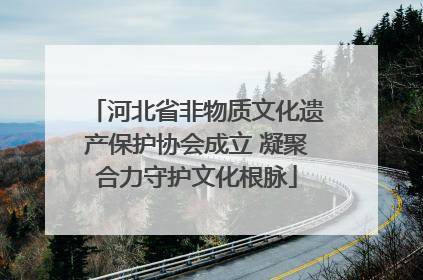 河北省非物质文化遗产保护协会成立 凝聚合力守护文化根脉