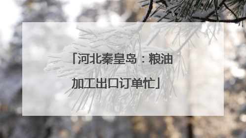 河北秦皇岛：粮油加工出口订单忙