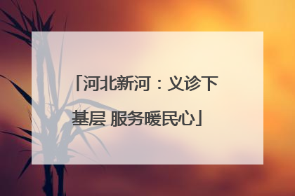 河北新河：义诊下基层 服务暖民心
