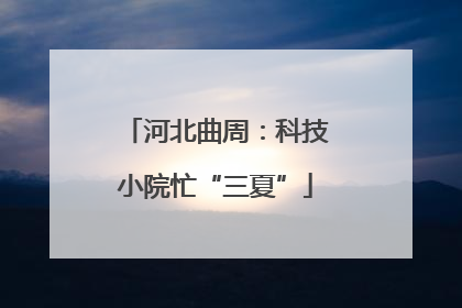 河北曲周：科技小院忙“三夏”