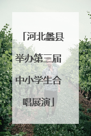 河北蠡县举办第三届中小学生合唱展演