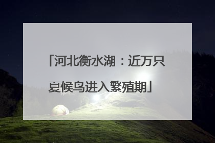 河北衡水湖：近万只夏候鸟进入繁殖期