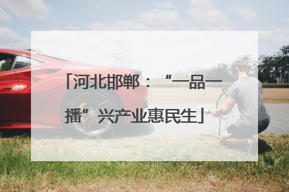 河北邯郸：“一品一播”兴产业惠民生