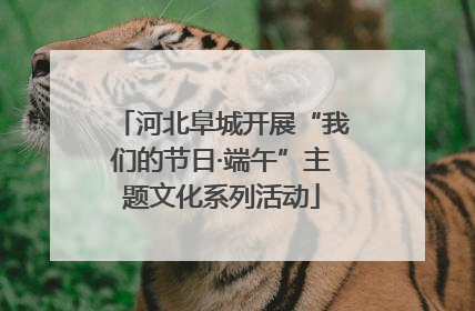 河北阜城开展“我们的节日·端午”主题文化系列活动
