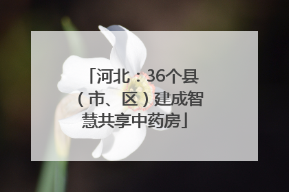 河北：36个县（市、区）建成智慧共享中药房