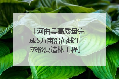 河曲县高质量完成5万亩沿黄线生态修复造林工程