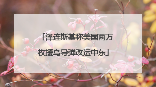 泽连斯基称美国两万枚援乌导弹改运中东