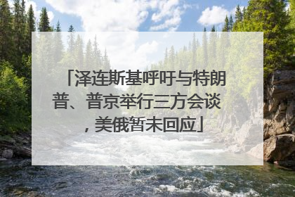 泽连斯基呼吁与特朗普、普京举行三方会谈，美俄暂未回应