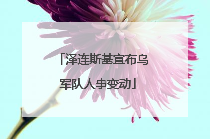 泽连斯基宣布乌军队人事变动