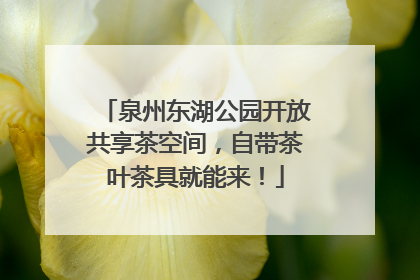 泉州东湖公园开放共享茶空间，自带茶叶茶具就能来！