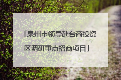 泉州市领导赴台商投资区调研重点招商项目