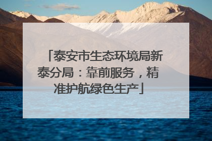 泰安市生态环境局新泰分局：靠前服务，精准护航绿色生产